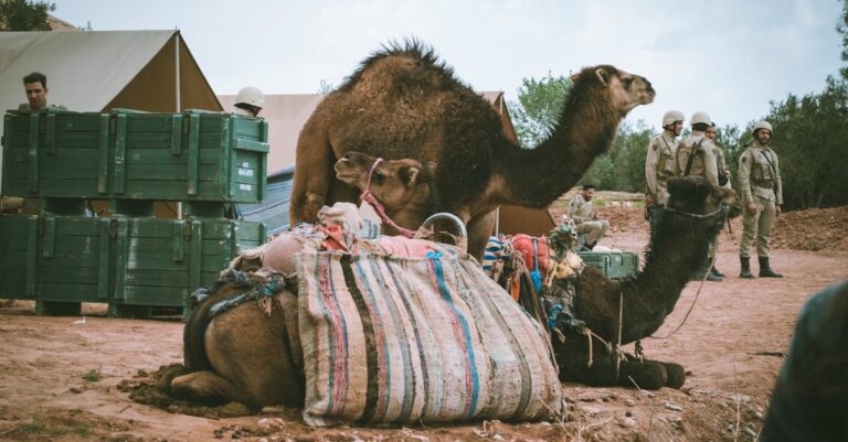 drones-military-base