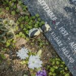 family-inheritance-inequality-1