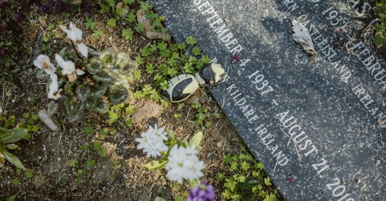 family-inheritance-inequality-1