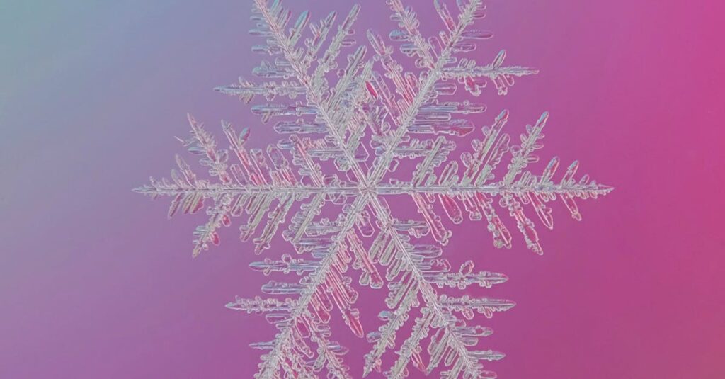 frozen-bank-transfers-Christmas