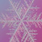 frozen-bank-transfers-Christmas