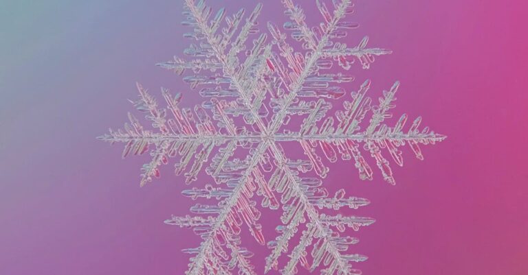 frozen-bank-transfers-Christmas