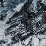 Crans-Montana-fire-aftermath