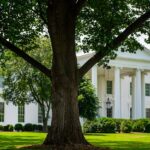 Donald-Trump-Kevin-Warsh-Federal-Reserve