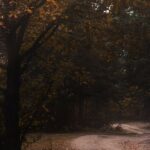 French-Parliament-vote-13