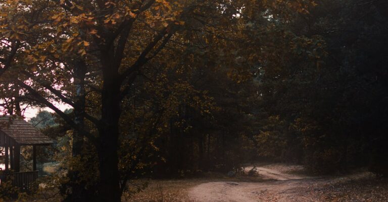 French-Parliament-vote-13