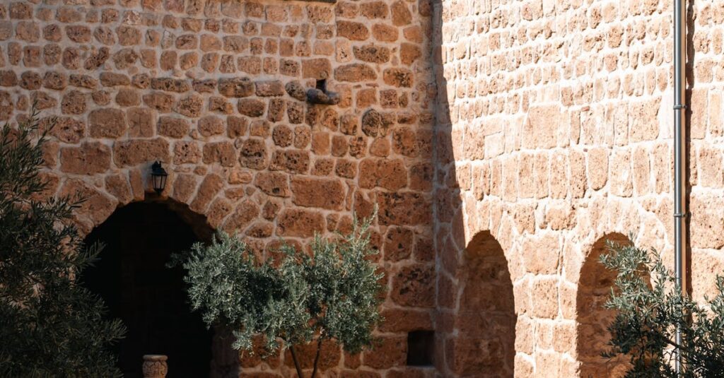 Gabriel-Attal-speech-1