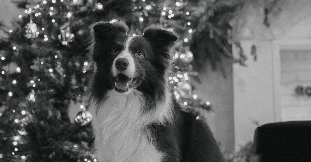 Glucksmann-family-espionage