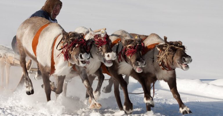 Inuit-military-arctic