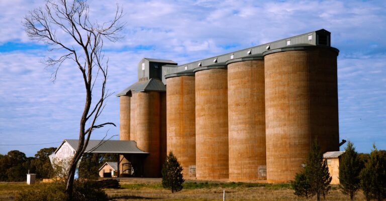 Lake-Cargelligo-shooting-aftermath