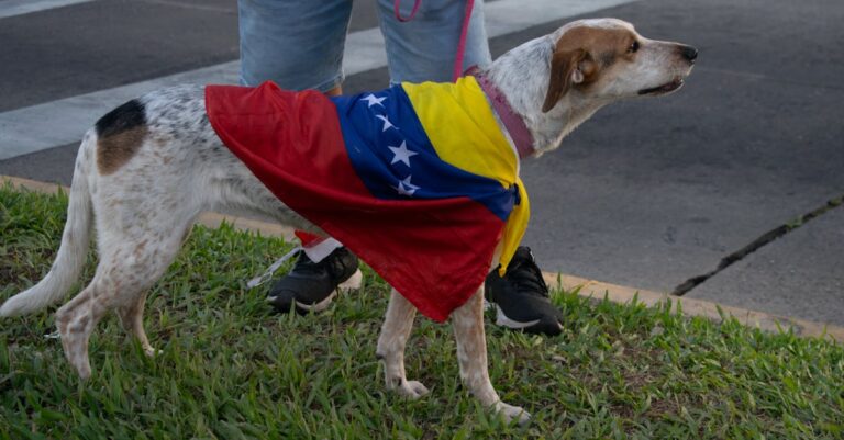 Macron-Venezuela-controversy