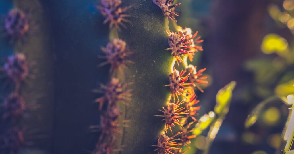 Syria-desert-airstrike