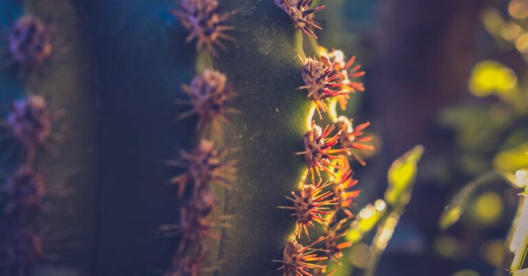 Syria-desert-airstrike