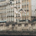doctors-strike-Paris