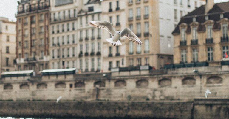 doctors-strike-Paris