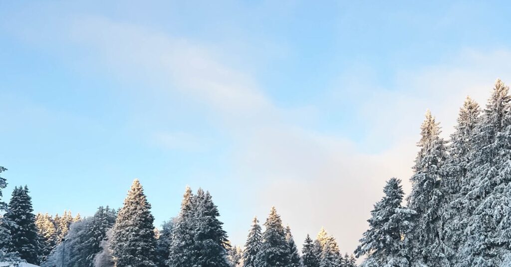 icy-road-accident-France