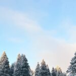 icy-road-accident-France
