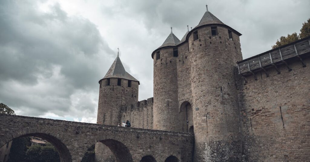 medieval-castle-construction-1