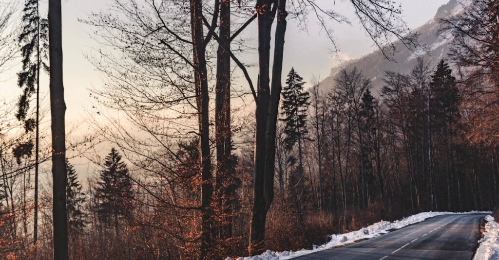 snow-blocked-roads-France