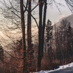 snow-blocked-roads-France