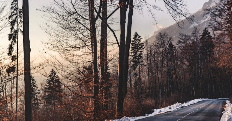 snow-blocked-roads-France