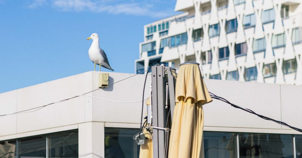 Grande-Motte-beach-restaurant-closure