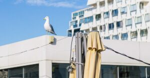 Illustration de Catastrophe pour les paillotes à La Grande Motte Grande-Motte-beach-restaurant-closure