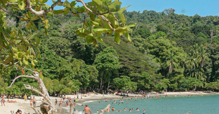 Illustration de Mort de Quentin : LFI refuse d'admettre la moindre responsabilité Manuel-Bompard-interview-1