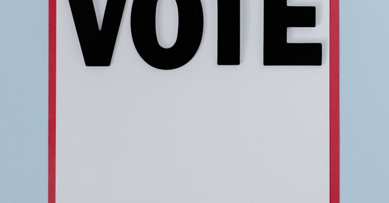 Toulouse-election-poster