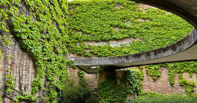 Venice-Biennale-controversy-Russia