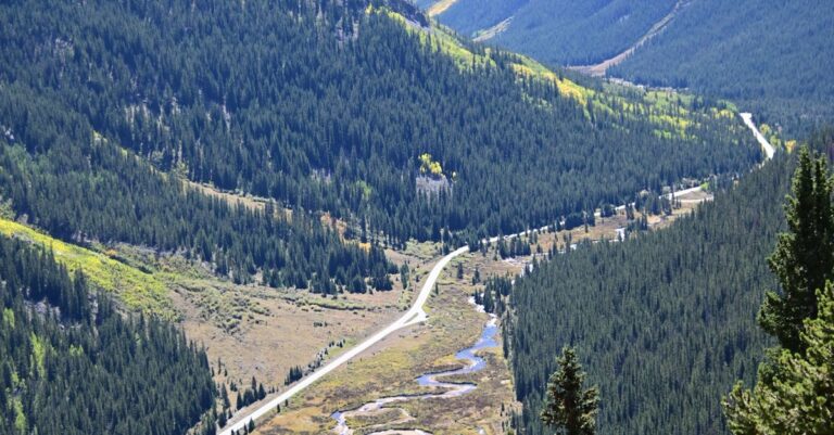 Illustration de L'Amérique au bord du gouffre : Un écrivain dénonce le chaos Divided-United-States