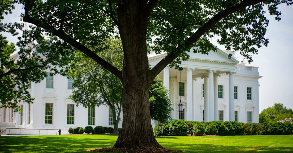 Illustration de Trump resserre l'étau sur le vote par correspondance, la démocratie menacée Donald-Trump-presidential-decree