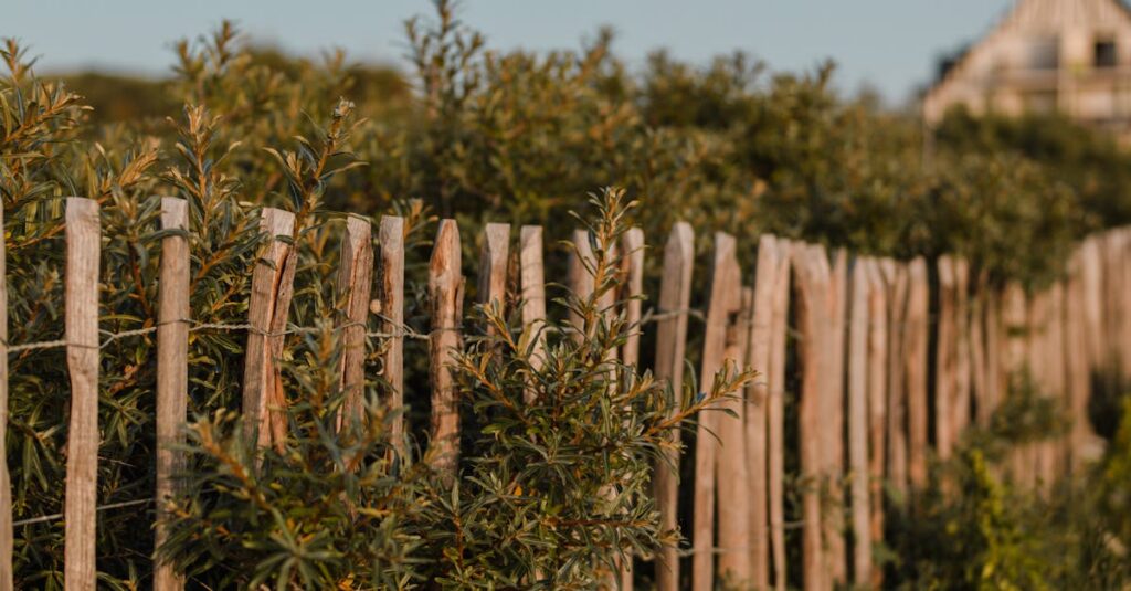 France-rural-hedgerow-destruction