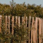France-rural-hedgerow-destruction