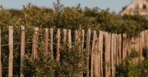 France-rural-hedgerow-destruction