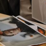 corporate-scandal-investigation