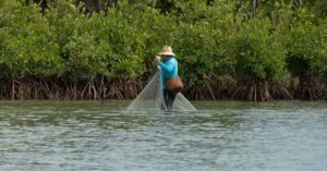 Colombian-women-fishing-mangrove