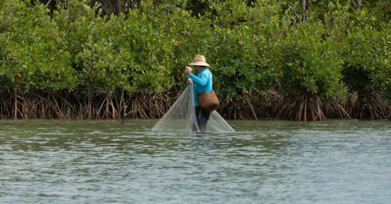 Illustration de Colombie: Le combat désespéré des pêcheuses de coques face à l'extinction Colombian-women-fishing-mangrove