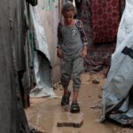 Gaza-refugee-camp-rats-1