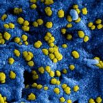 hepatitis-B-virus-research-1