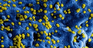 hepatitis-B-virus-research-1