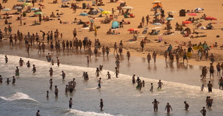 France-heatwave-chaos