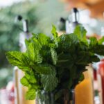 green-mint-syrup-glass