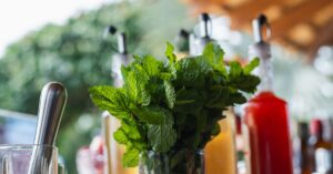 green-mint-syrup-glass