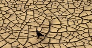 Illustration de Canicule Mortelle : La France suffoque, l'Europe tremble Europe-heatwave-desperation