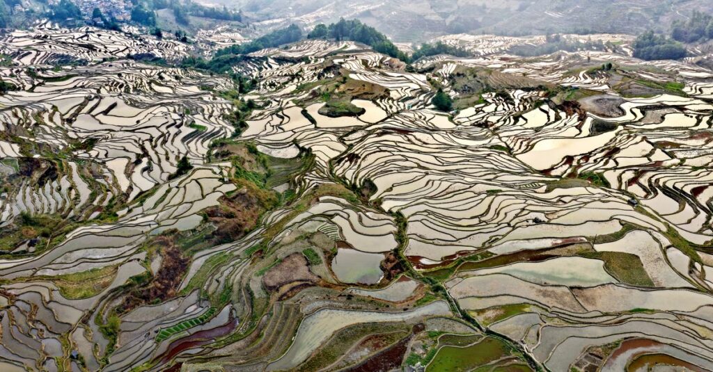Illustration de Catastrophe en Chine : Des campeurs emportés par un torrent meurtrier china-mountain-flood