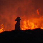 firefighter-death-wildfire-France