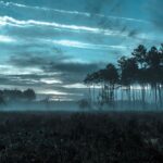 forest-fire-Gironde-Arcachon