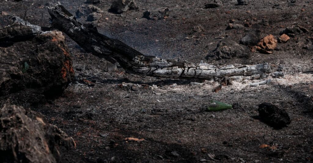 scorched-French-landscape