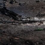 scorched-French-landscape
